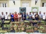 Premiados seis parraleros de la provincia por el mantenimiento de variedades históricas de uva de mesa