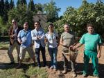 La Alhambra recupera el cultivo de azafrán en las huertas medievales del Generalife