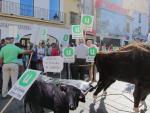 Más de un centenar de ganaderos extremeños reclaman en Mérida medidas contra la tuberculosis bovina y caprina