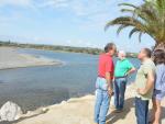 El Ayuntamiento de San Roque denuncia la aparición de peces muertos en la bocana del Guadiaro