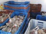 Intervenidos 278 conejos a una empresa que los compraba a cazadores para venderlos después sin permisos