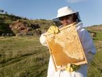 La Junta autoriza el pago de 5,7 millones de euros de ayudas agroambientales para 1.074 apicultores