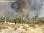 El alcalde de La Granada de Riotinto alerta del "desastre ecológico" provocado por el incendio