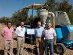 El Ifapa obtiene los primeros resultados sobre eficiencia del uso de agua en el cultivo mixto cebada-olivar