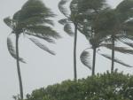La tormenta tropical "Ophelia" se fortalece rumbo a las Antillas menores