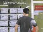 Un hombre mirando ofertas de pisos de alquiler en los expositores de una inmobiliaria de Madrid. - EFE