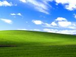 Fotografía de 'Bliss' el wallpaper de Windows XP de Chuck O'Rear.
