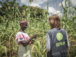 Una trabajadora de Oxfam en una plantación de Burkina Faso