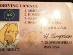 Fotografía del carnet de conducir de Homer Simpson.
