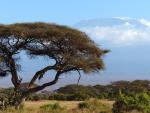 Vista del Kilimanjaro