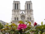 Notre Dame se debe reproducir como era, según arquitecto reconstruyó el Liceo