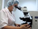 Científicos españoles prueban una nuevo modelo de terapia génica para la anemia de Fanconi