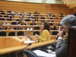 Pleno en el Senado con el objetivo de aprobar la ley de estabilidad presupuestar