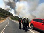 Un total de 348 profesionales tratan de controlar el incendio que afecta a los municipios madrileños de Cadalso de los Vidrios y Cenicientos. /EFE/Emergencias 112