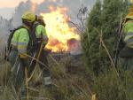 El incendio forestal de Beneixama arrasa 830 hectáreas