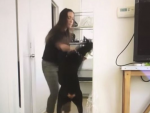 Fotografía de la youtuber Brooke Houts golpeando a su perro.