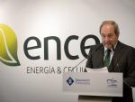 Juan Luis Arregui es presidente de Ence.