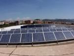 Paneles solares en un parque fotovoltaico.