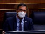 Pedro Sánchez sesión de control Congreso de los Diputados