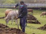 Dos granjas menos cada día: la guerra del pienso da la puntilla a los ganaderos