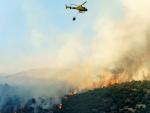 Medios aéreos y terrestres participan en la labores de extinción de un incendio declarado en el término de El Tiemblo, en Ávila.