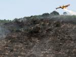 Medios aéreos y terrestres trabajan este sábado en la extinción del incendio declarado el viernes en la localidad abulense de El Tiemblo.