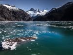 Glaciar en el fiordo Yendegaia, en la austral región de Magallanes