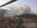El Infoca trabaja con nueve medios aéreos para extinguir un incendio declarado en Lucena del Puerto (Huelva)