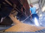 España se sitúa como el país que más  cereal exportado recibe de Ucrania. Utilizada el 04/11/2022