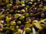El aceite de oliva alcanza su precio máximo por el alza de los costes