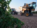 Agricultura vendimia tractor