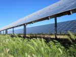 Sonnedix se expande tras comprar 169 plantas fotovoltaicas a Qualitas Energy