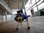 El perro-robot 'Tefi', dotado con inteligencia artificial, es una propuesta de apoyo seguro para invidentes