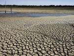 Agroseguro prevé un nuevo récord para las indemnizaciones por la sequía en 2023
