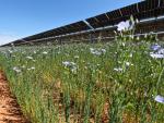 De Solaria a Grenergy: las renovables se disparan tras la oferta sobre Opdenergy