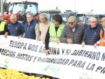 agricultores_ganaderos_sostienen_pancartas_frente_centenar_limones_suelo
