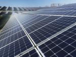 Planta energía solar fotovoltaica