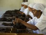 Fábrica de empaquetado de vainilla en Madagascar.