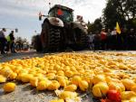 limones-protestas-agricultores