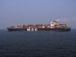 mumbai_india_cargo_vessel_of_mediterranean_shipping_company (1)