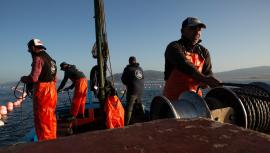 El sector pesquero pide a Defensa que prorrogue un año la 'Operación Atalanta'