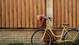 ¿El seguro de hogar cubre el robo de mi bicicleta?