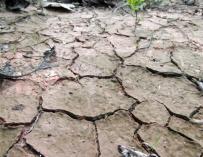 Sequía, cambio climático
