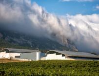Vega Sicilia and Rothschild winery in Samaniego