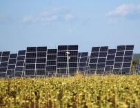 energía renovable paneles solares