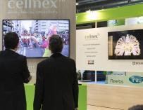 Cellnex se convertirá el cuarto valor con más peso en el Ibex 35 desde el lunes.