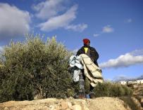 Centenares de migrantes han llegado estos días a la provincia de Jaén para trabajar en la campaña de aceite.