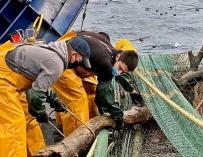 Miles de empleos dependen de la pesca del calamar en la zona de las Malvinas.
