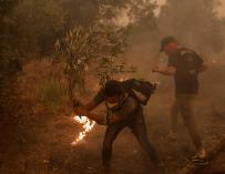 Los vecinos de Pefki tratan de apagar las llamas locales usan una rama de árbol para combatir en la isla de Evia,
