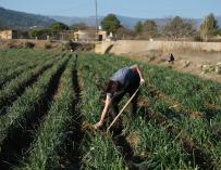 Agricultor, agricultura campo